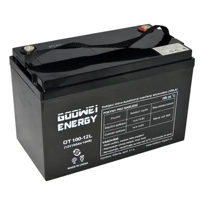 Goowei Energy OTL100-12 100Ah 12V