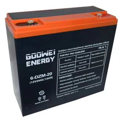 GOOWEI ENERGY 6-DZM-20 12V 24Ah