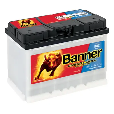 Trakční baterie Banner Energy Bull 955 01 60Ah 12V