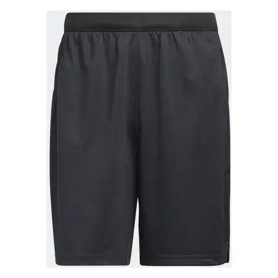 Axis 3.0 Knit Shorts