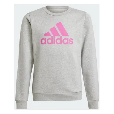 Essentials Big Logo Cotton Sweatshirt