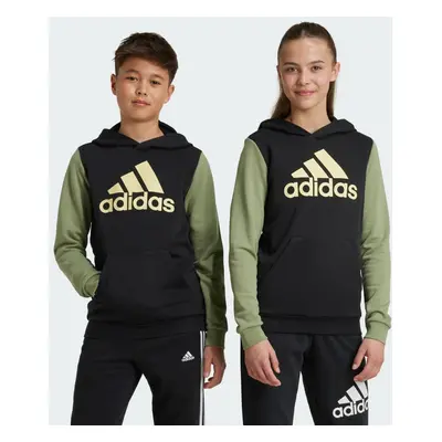 Essentials Big Logo Colorblock Hoodie Kids