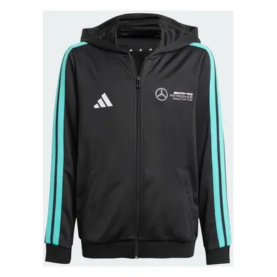 MIKINA MERCEDES - AMG PETRONAS FORMULA ONE TEAM DNA FULL ZIP HOOD