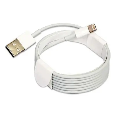 Datový kabel pro Apple iPhone 5, 6, 7, 8, X, 11 2m Lightning (bulk)