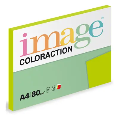 Coloraction A4 80 g 100 ks - Java/středně zelená