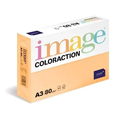 Coloraction A4 80 g 500 ks - Savana/meruňková