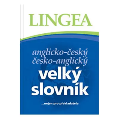 Anglicko-český a česko-anglický velký slovník - kolektiv