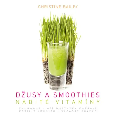 Džusy a smoothies nabité vitamíny - Bailey Christine