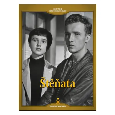 Štěňata - DVD (digipack) - neuveden