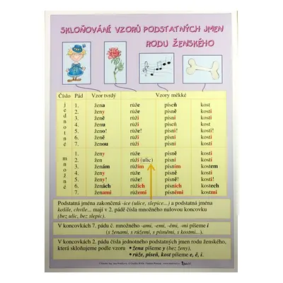 Skloňování vzorů podstatných jmen rodu ženského /70×100/