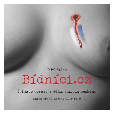 Bídníci.cz - Zídek Jiří