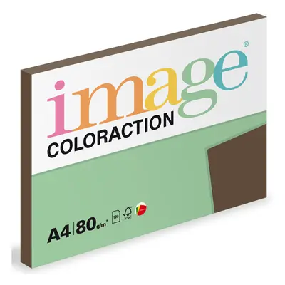 Coloraction A4 80 g 100 ks - Brown/sytá hnědá