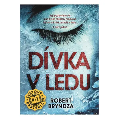 Dívka v ledu - Bryndza Robert