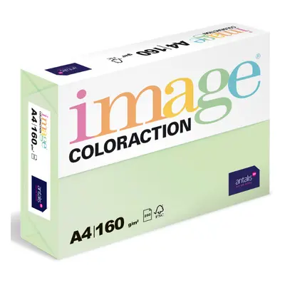 Coloraction A4 160 g 250 ks - Jungle/pastelově sv.zelená