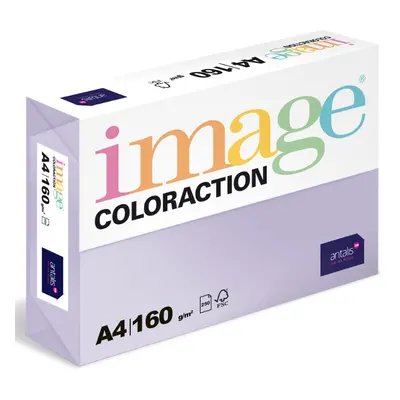 Coloraction A4 80 g 500 ks - Tundra/pastelově fialová