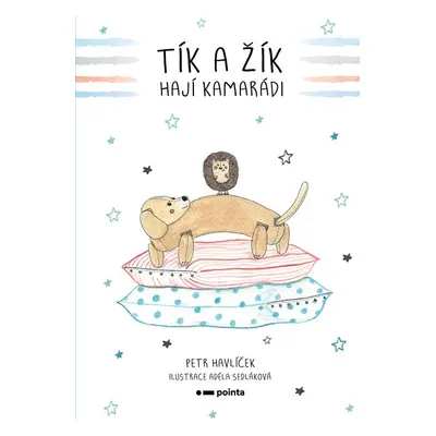 Tík a Žík, hají kamarádi - Petr Havlíček