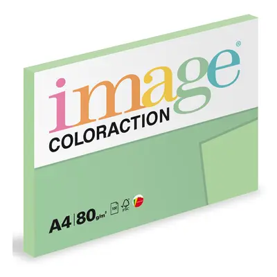 Coloraction A4 80 g 100 ks - Jungle/pastelově sv.zelená