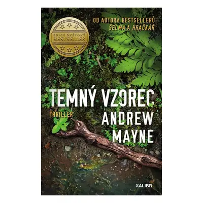 Temný vzorec - Mayne Andrew