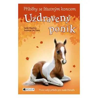 Příběhy se šťastným koncem - Uzdravený poník - Sarah Hawkins