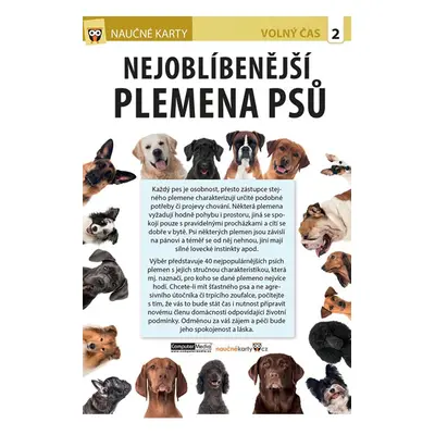 Nejoblíbenější plemena psů - Naučná karta - neuveden