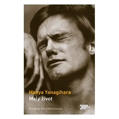 Malý život - Yanagihara Hanya