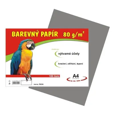 Barevný papír A4 80 g - 100 ks - šedý