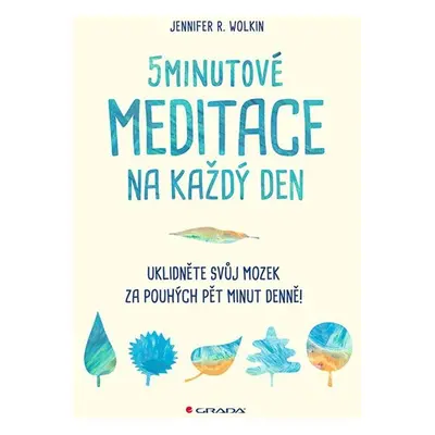 5minutové meditace na každý den - Uklidněte svůj mozek za pouhých pět minut denně! - Wolkin Jenn