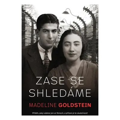 Zase se shledáme - Goldstein Madeleine