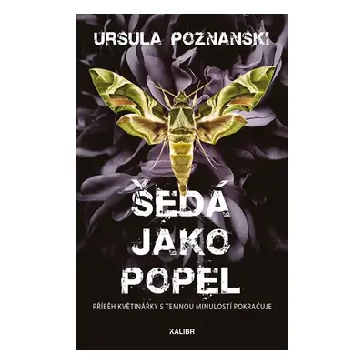 Šedá jako popel - Poznanski Ursula