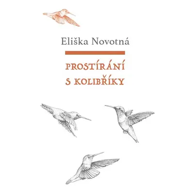 Prostírání s kolibříky - Novotná Eliška