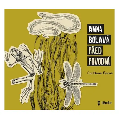 Před povodní - audioknihovna - Bolavá Anna