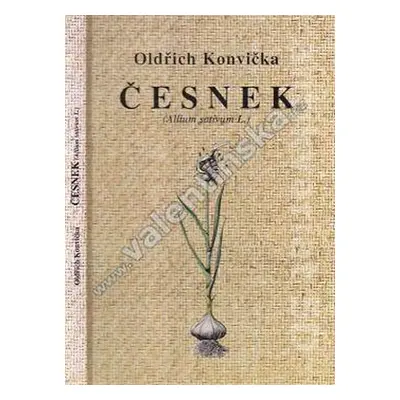 Česnek (Allium sativum L.) - Konvička Oldřich