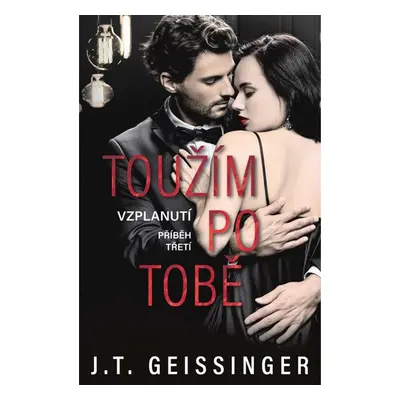 Toužím po tobě - Geissinger J. T.