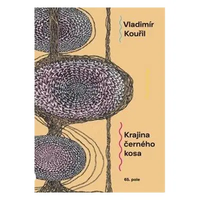 Krajina černého kosa - Kouřil Vladimír