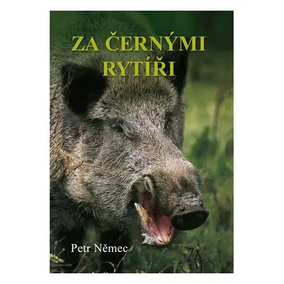 Za černými rytíři - Němec Petr