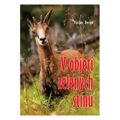 V objetí zelených stínů - Beran Václav