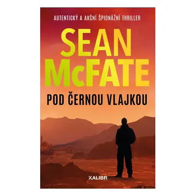 Pod černou vlajkou - McFate Sean