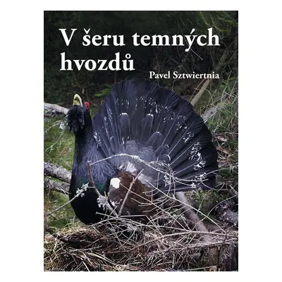 V šeru temných hvozdů - Sztwiertnia Pavel