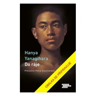 Do ráje - Yanagihara Hanya