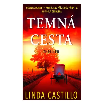 Temná cesta - Castillo Linda