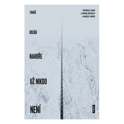 Nahoře už nikdo není - Povídkový román o velkém přátelství a malých zradách - Kozák Tomáš