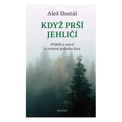 Když prší jehličí - Dostál Aleš