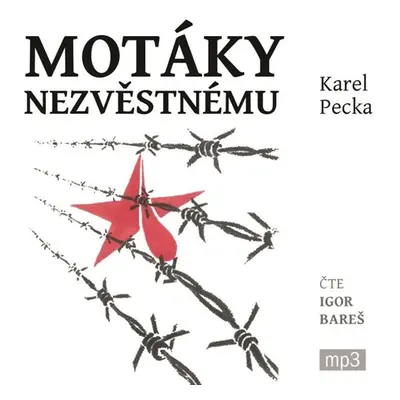 Motáky nezvěstnému - 3 CDmp3 - Pecka Karel