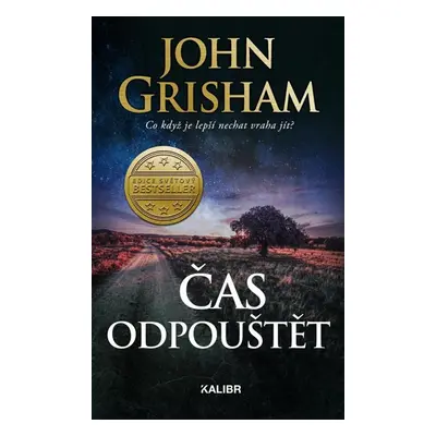 Čas odpouštět - Grisham John