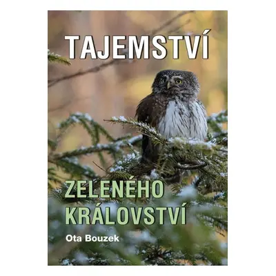 Tajemství zeleného království - Bouzek Ota