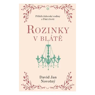 Rozinky v blátě - Dva tucty střepů - Novotný David Jan