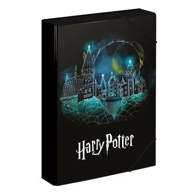 BAAGL Desky na školní sešity A4 Jumbo - Harry Potter