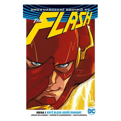 Flash 1 - Blesk udeří dvakrát - Williamson Joshua