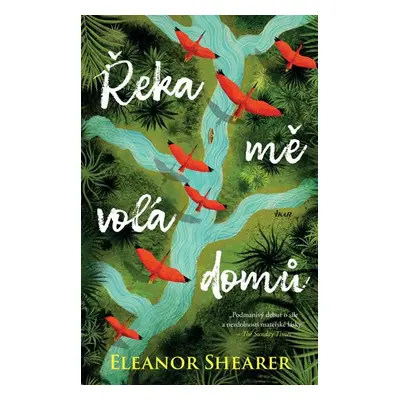 Řeka mě volá domů - Shearer Eleanor