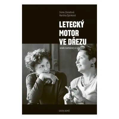 Letecký motor ve dřezu aneb rozhovory o umírání - Špinková Martina, Závadová Irena